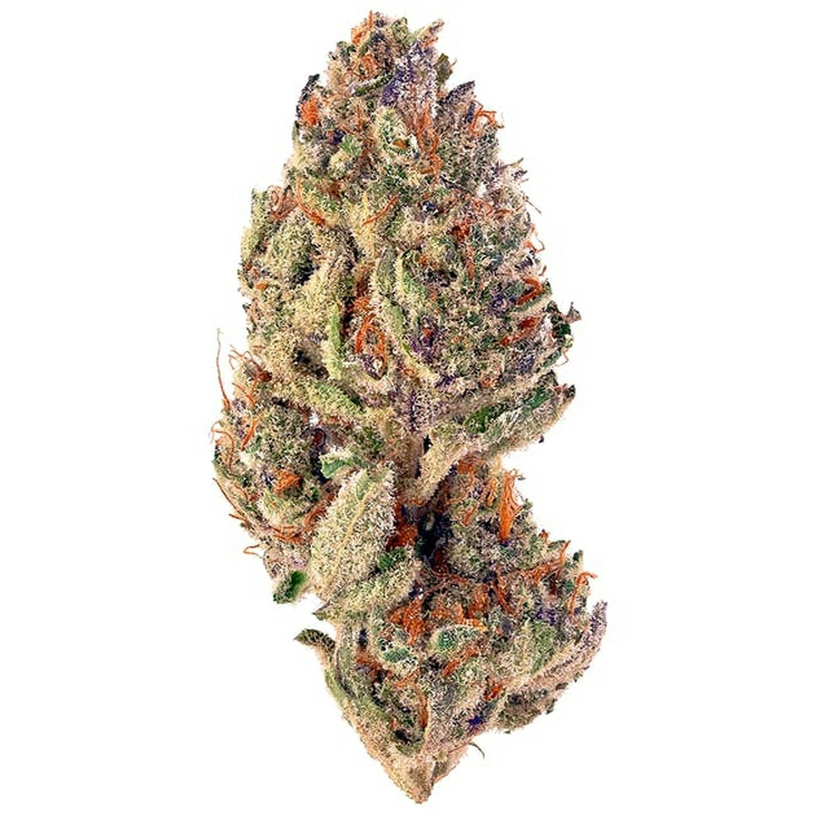 Cherry Tropicana 🍒